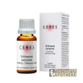 Echinacea purpurea Urtinktur 20ml