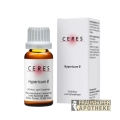 Hypericum Urtinktur 20ml