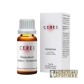 Coriandrum Urtinktur 20ml